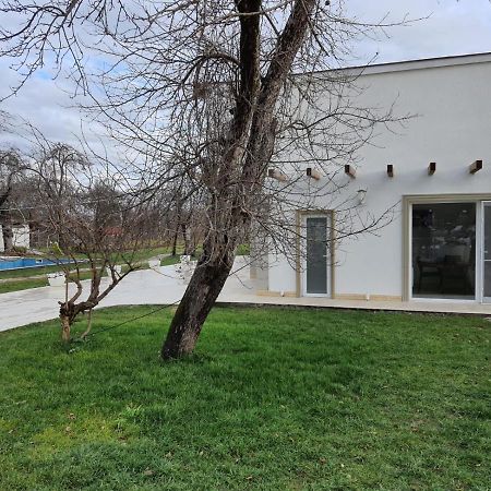 Pensiunea Groza Targu Jiu Exterior photo